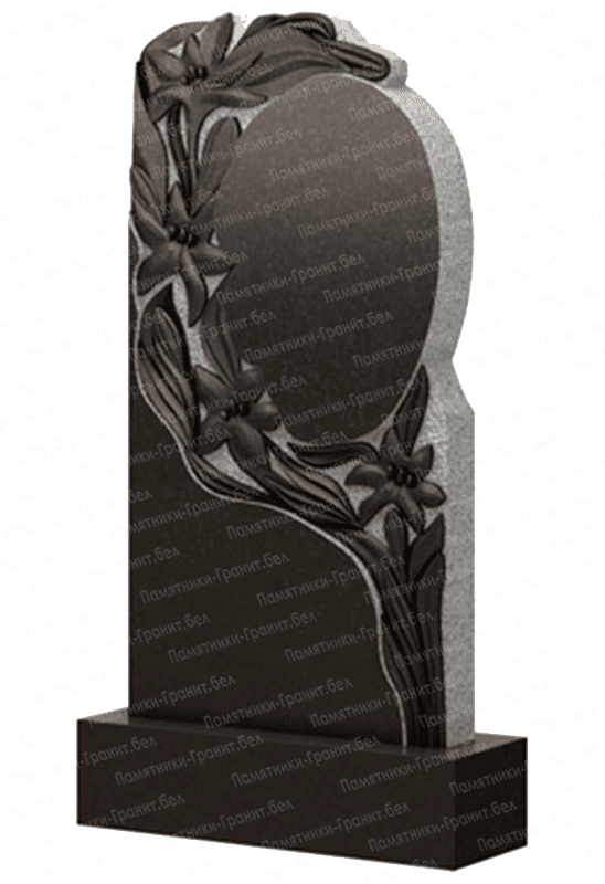 Заказать памятник Чашники изображение