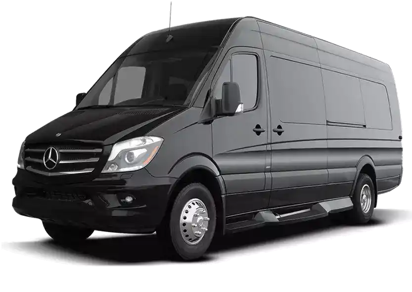 Памятник Чашники изображение